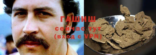 гашик Алексеевка