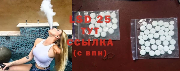 стаф Алзамай