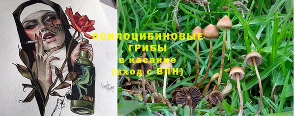 гашик Алексеевка