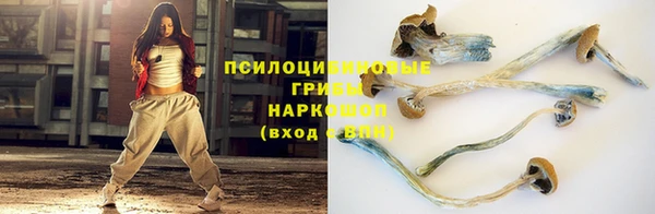 гашик Алексеевка
