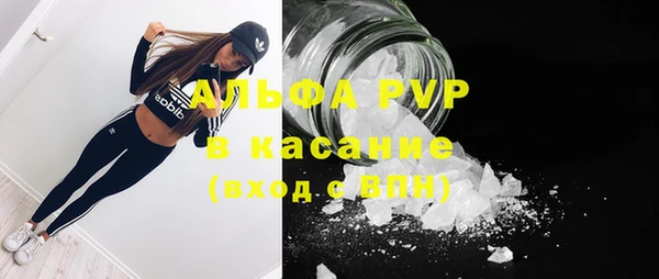 стаф Алзамай