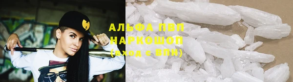 стаф Алзамай