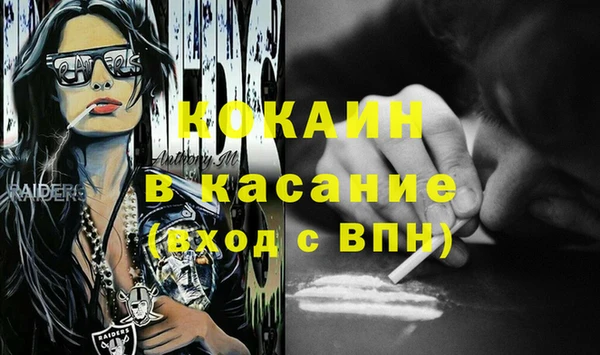 стаф Алзамай