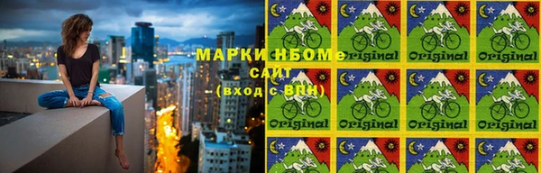 стаф Алзамай