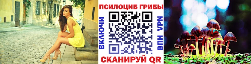 Галлюциногенные грибы Psilocybine cubensis Жуковский