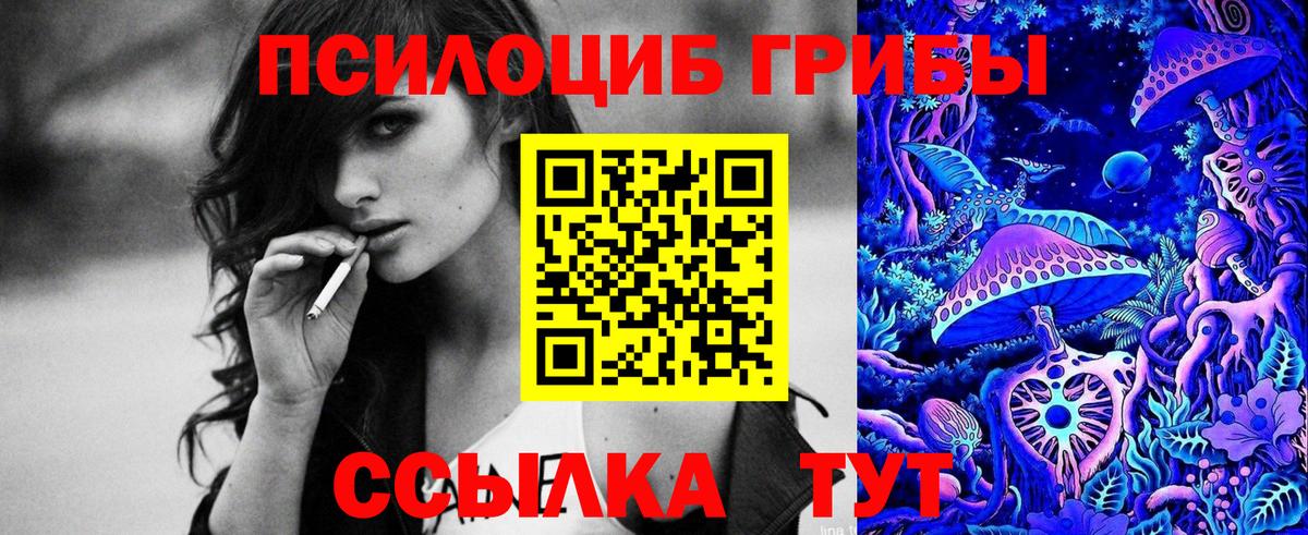 Жуковский  Псилоцибиновые грибы прущие грибы  Вход с VPN 