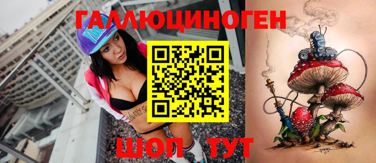 Галлюциногенные грибы Psilocybine cubensis Жуковский